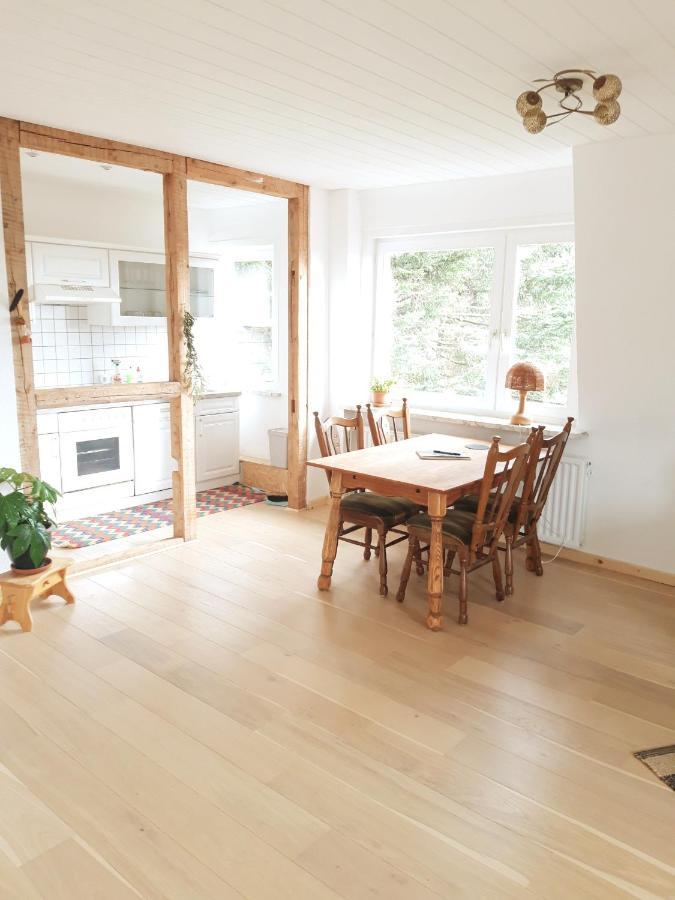 Ferienhaus Im Bergdorf Hohegeiß Exteriér fotografie